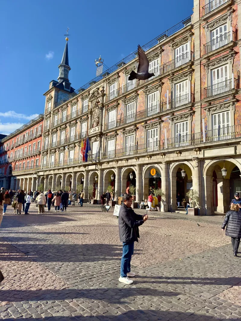 When To Go To Madrid Or The Best Time To Visit Spain's Capital in Spain