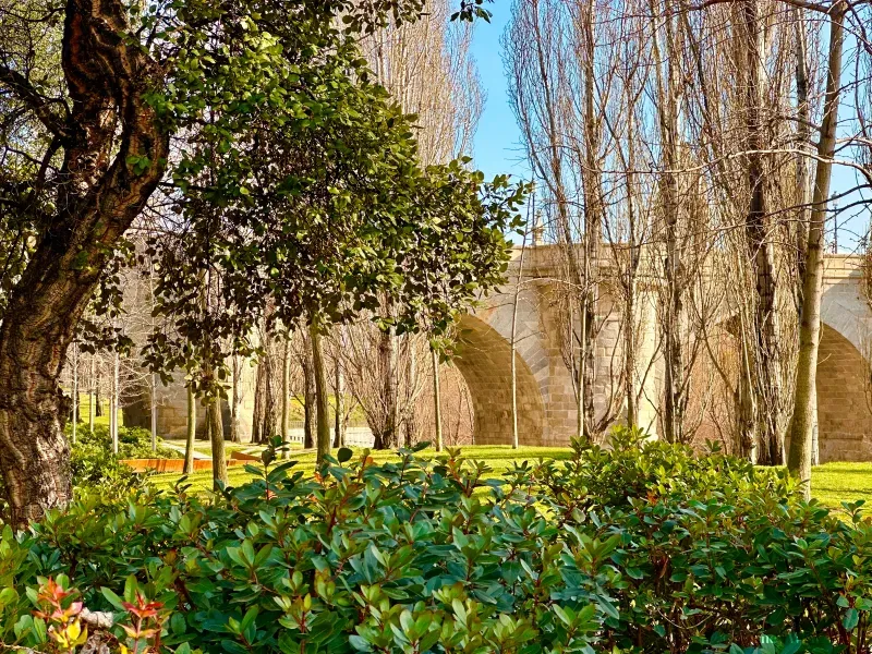 When To Go To Madrid Or The Best Time To Visit Spain's Capital in Spain