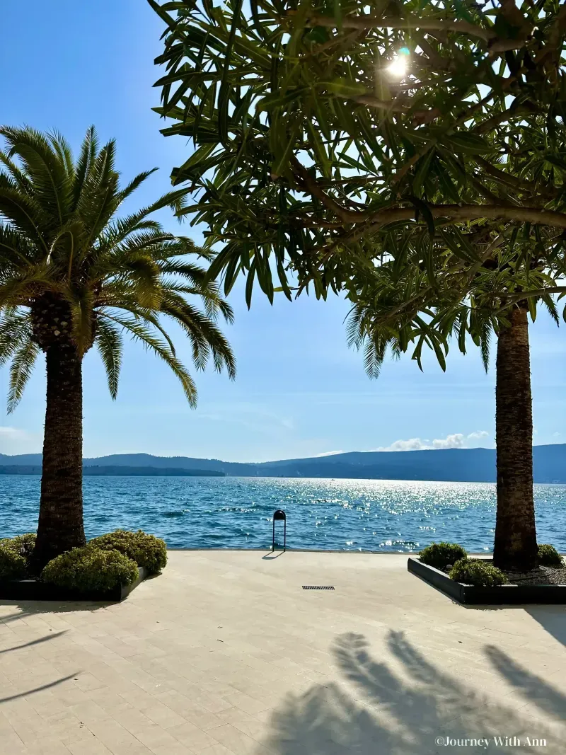 阳光、大海和棕榈树。你还需要什么呢？！