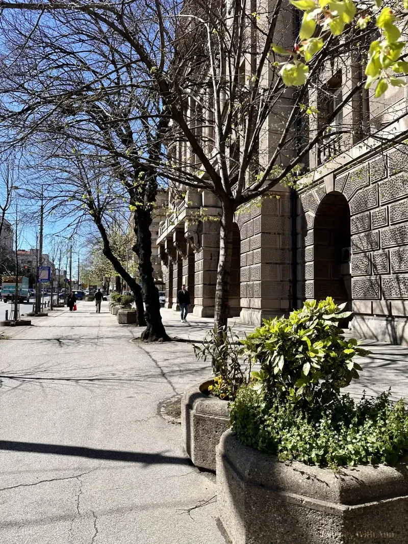 The central street of Belgrade